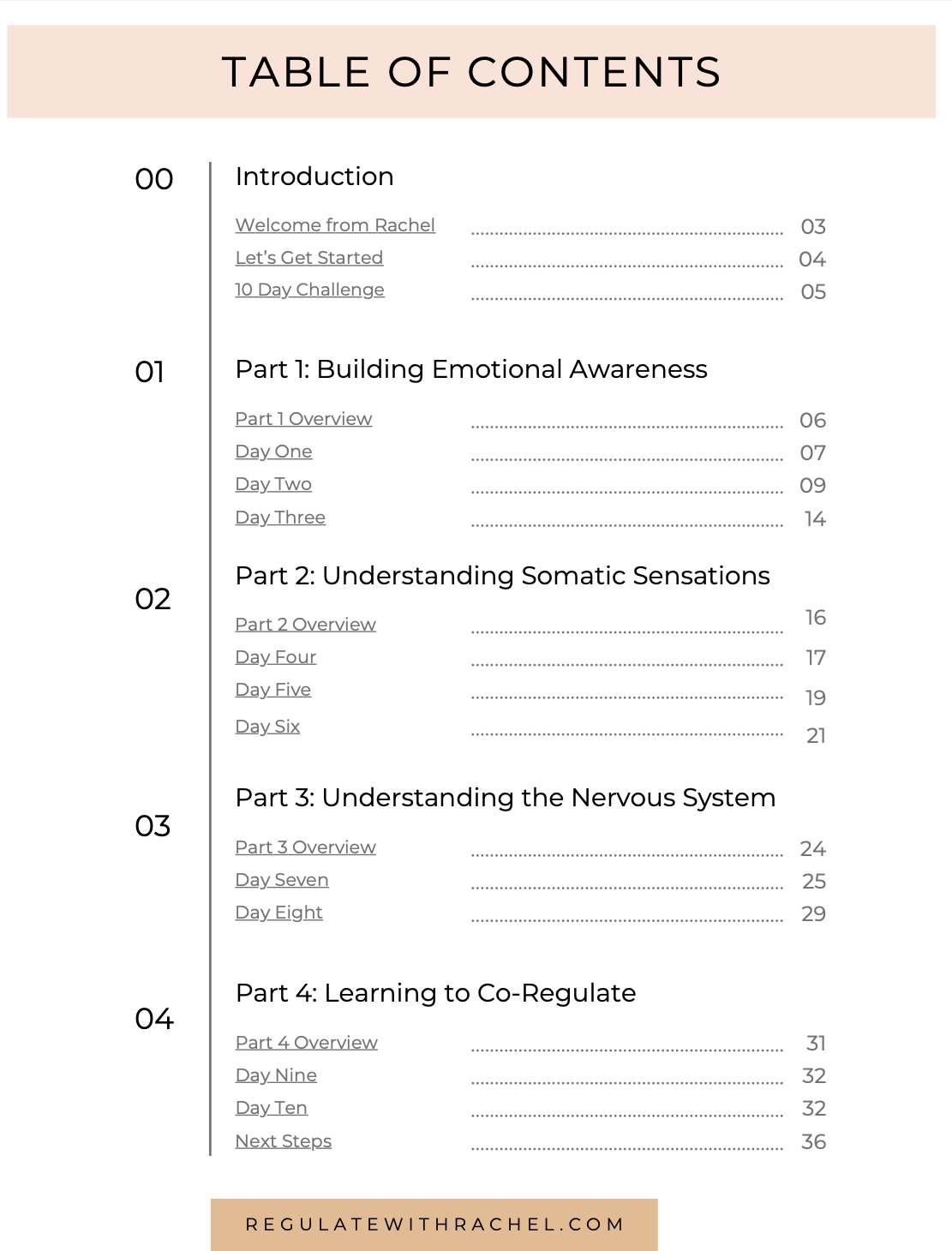 Emotion Regulation Starter Kit: 10 Days to More Regulated Kids